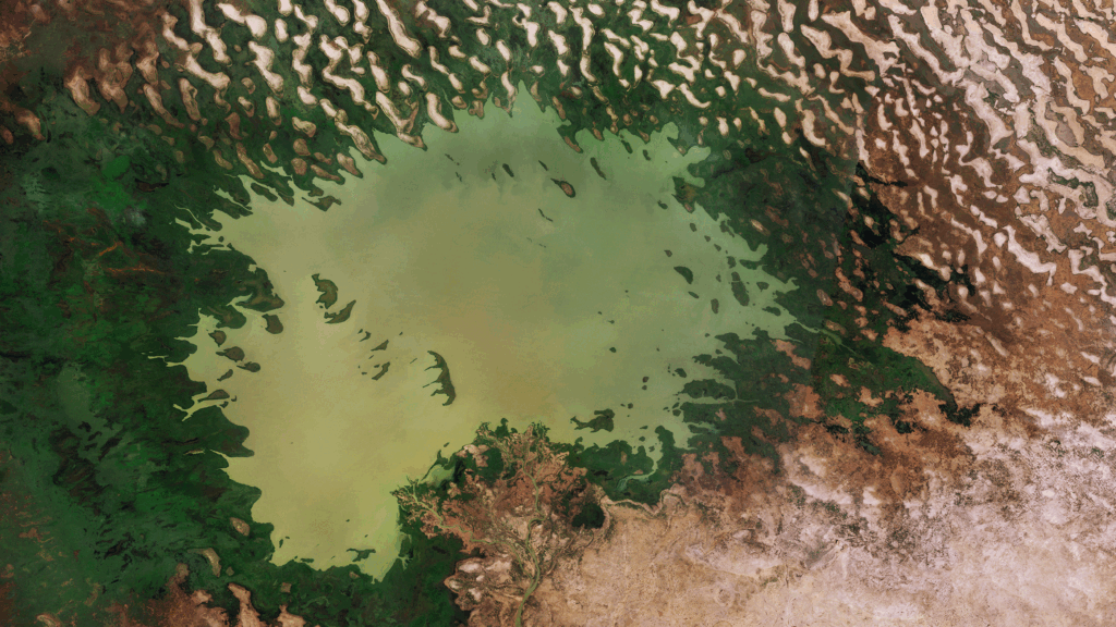 Lake_Chad_s_shrinking_waters_pillars