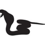 Snakebite